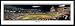 Baltimore Orioles 