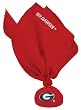 Georgia Couch Flags