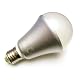 LED Light Bulb, 900 Lumen, Warm White, 9 Watt $9.95