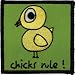 David and Goliath Artist Patch - Chicks Rule