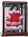doll display case for doll