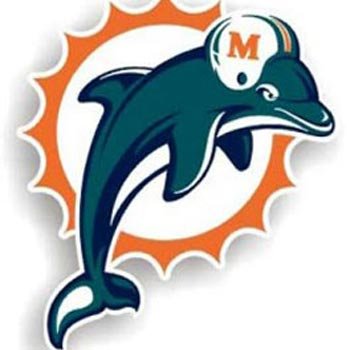 Miami Dolphins 12 Inch Logo Car Magnet (Quantity of 1)