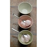 RSVP Endurance Ice Cream Spoons, Set of 4
