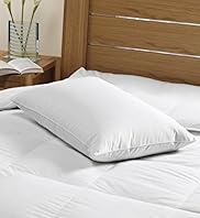 Autograph Pyrenean Silver Goose Down Pillow