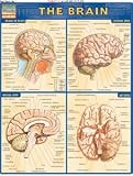 Eigenschaften Konami  / Brain Drain