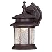 Westinghouse 6400300 LED Exterior Wall Lantern, 9.75