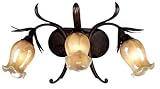 Kenroy Home 90793AT Blossom Three-Light Vanity, Aruba Teak with Amber Iridescent Globes