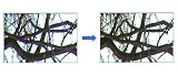 Electronics : GX Microscopes Helicon Filter Pro software for Professional Image Processing for Photography