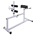 New Fitness Hyper Extension Hyperextension Bench Chair Workout Core Abdominal