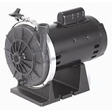 POLARIS PB4-60, 3/4HP 115/230V BOOSTER PUMP