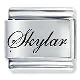 Edwardian Script Font Name Skylar Italian Charms