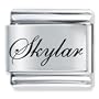 Edwardian Script Font Name Skylar Italian Charms
