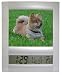 Cop PF25 Covert / hidden / spy Picture Frame w/ Digital Clock Camera (Electronic Quartz Clock)