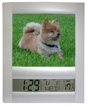 Cop PF25 Covert / hidden / spy Picture Frame w/