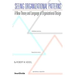 Seeing Organizational Patterns