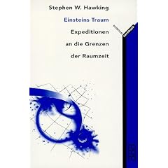 Einsteins Traum: Expeditionen an die Grenzen der Raumzeit