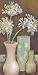 Lily Of The Nile - Diane Knowles Art Print Poster 10 x 20