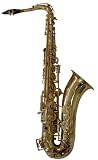 AS - 100 Alto Saxophone - B00074UX9W