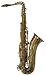 AS-100 Alto Saxophone