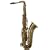 AS-100 Alto Saxophone