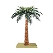 Royal Palm Tree - 6"