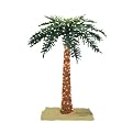 Royal Palm Tree - 6"