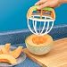Kitchen & Housewares : MELON WEDGER