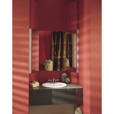 Stainless Steel Trim medicine cabinet