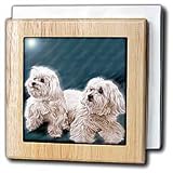 Dogs Maltese - Maltese - Tile Napkin Holders