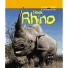 Rhino (Animals in Danger) (Taschenbuch)