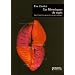 Les Monologues du vagin