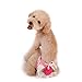 PanDaDa Puppy Pet Dog Flower Sanitary Panty Pant Lace Diaper Underwear Pink X-Small