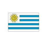 Uruguay Flag 4ft x 6ft Nylon