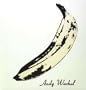 The Velvet Underground & Nico [Vinyl]
