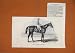 1845 Hore Sweetmeat Winner Doncaster Plate Old Print