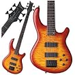 Edge Q5 5 String Bass