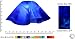Jezebel Radiance® Large Lily Blue and White Glass Pendant/Ceiling Fan Light Replacement Glass Shade, 1 5/8