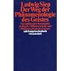 Der Weg der Ph�nomenologie des Geistes. Ein einf�hrender Kommentar zu Hegels 'Differenzschrift' und 'Ph�nomenologie des Geistes'