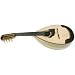 Calache Style Mandolin with case