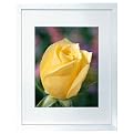 Gallery Frame - White (8x10)