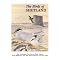 Best Shetland Books