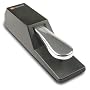 M-Audio SP-2 US65010 Sustain Pedal Piano Style Sustain Pedal for Keyboards