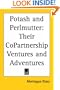 Potash and Perlmutter: Their CoPartnership Ventures and Adventures