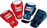 Competition Boxing Gloves Blue-white