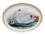 Portmeirion Birds of Britain Earthenware 14-3/4-Inch Oval Serving Dish