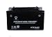 UPG UTX7A-BS - OEM YTX7A-BS - Motorcycle Battery - Dry Charge AGM - 12 Volt - 6 Ah Capacity - D Term