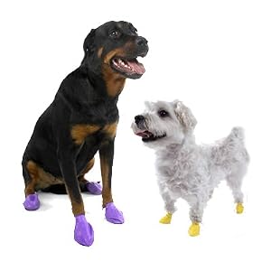Packages of Boots for Dogs2