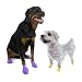 Pawz Dog Boots- Medium (Blue)