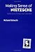 Making Sense of Nietzsche: REFLECTIONS TIMELY AND UNTIMELY (International Nietzsche Studies)