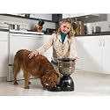 Petmate LeBistro Portion Control Automatic Pet Feeder, Black, 10 Pounds